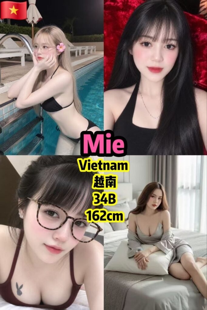 Mie 槟城 B 🇻🇳 Vietnam 越南 照片 1